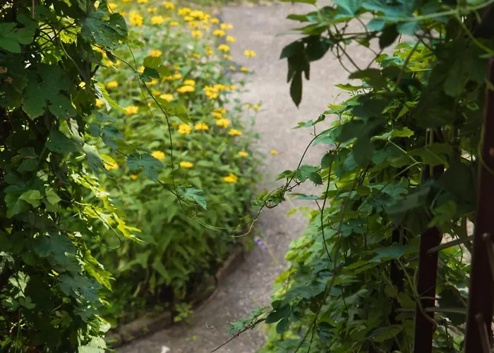 Butas Stylish & Comfortable 1-bedroom In Old Town By Urban Rent *