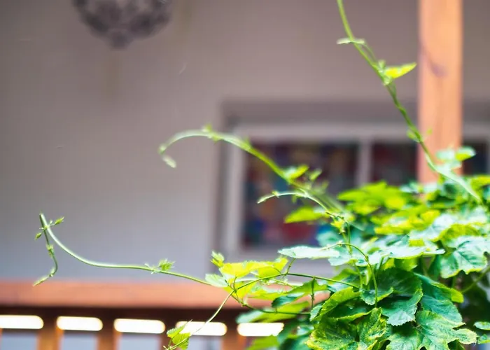 Stylish & Comfortable 1-bedroom In Old Town By Urban Rent アパート