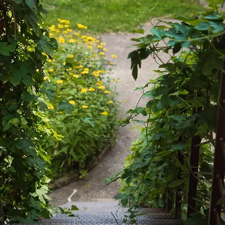 Апартаменты Stylish & Comfortable 1-bedroom In Old Town By Urban Rent *