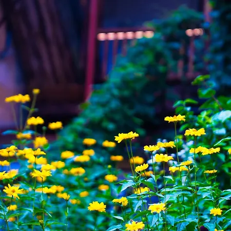 Stylish & Comfortable 1-bedroom In Old Town By Urban Rent Апартаменты *