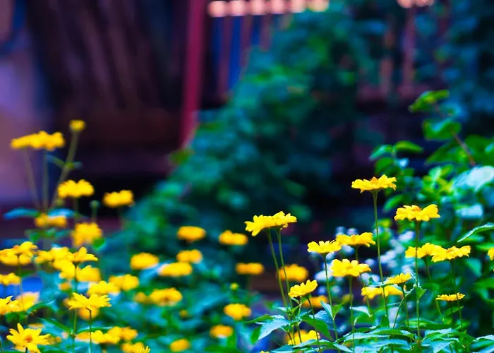 Stylish & Comfortable 1-bedroom In Old Town By Urban Rent Apartment *